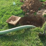 septic tank maintenance