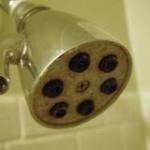 buildup on your shower head