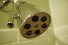 buildup on your shower head